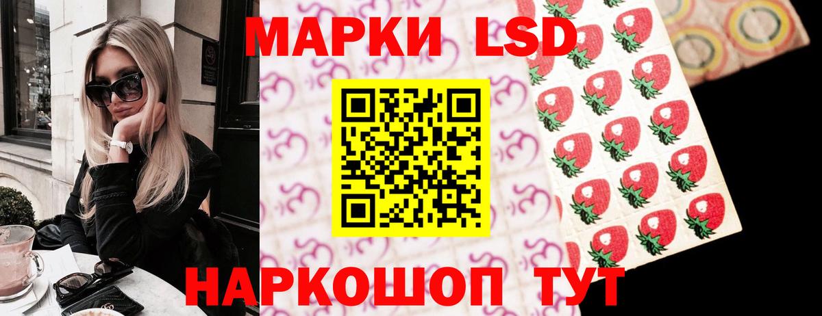 Аргун  Лсд 25 экстази  Лсд 25 экстази кислота  Вход с VPN  Лсд 25 экстази кислота 