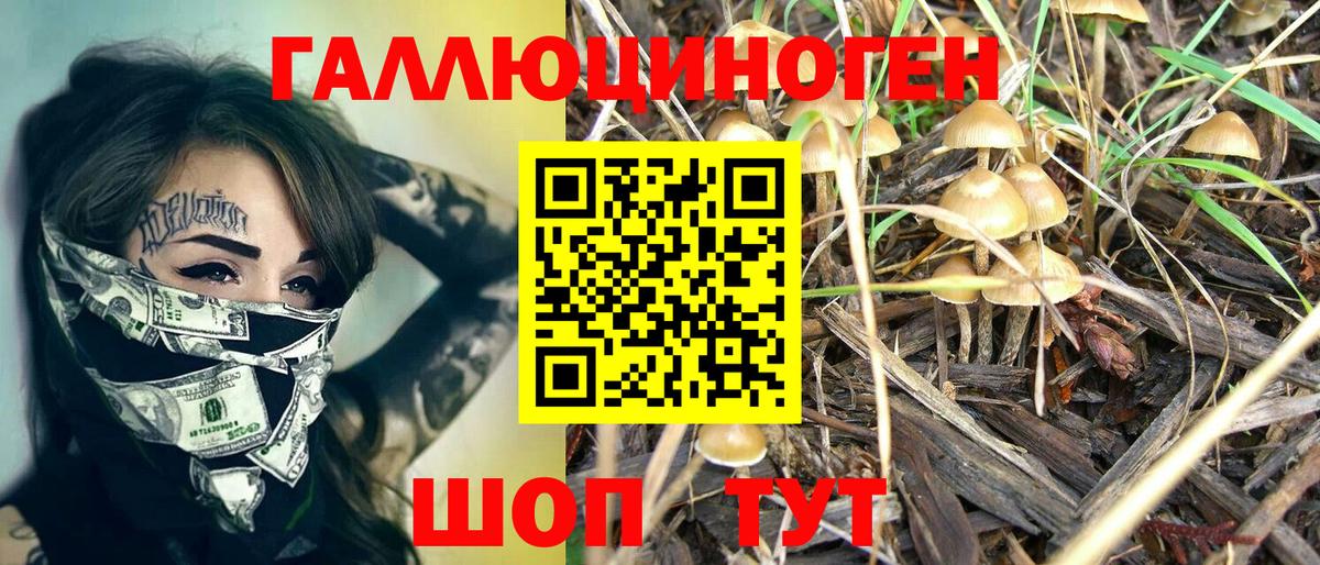 Аргун  Галлюциногенные грибы Psilocybe  Вход с VPN 