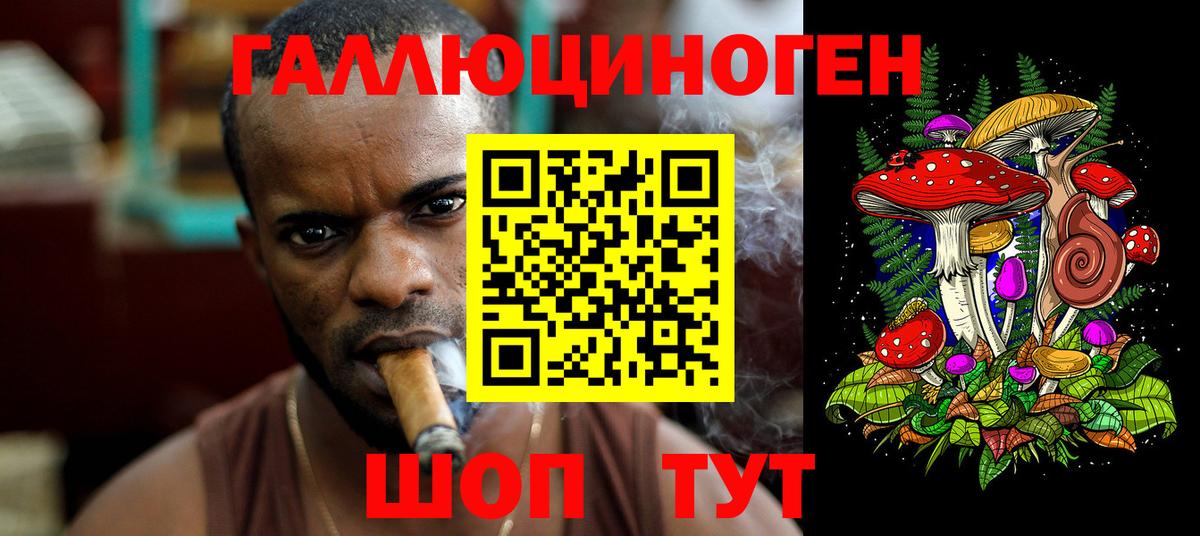 Псилоцибиновые грибы Psilocybe Аргун
